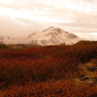 Mount Nansen in the Fall