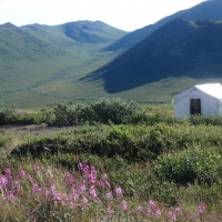 Tent at Klaza Camp