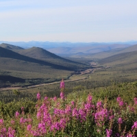 Southeastern portion of property with active placer operations